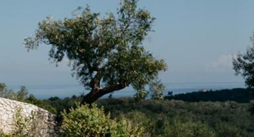 Villa Spitaki